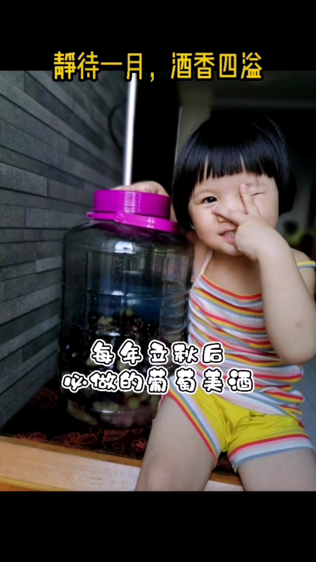 三孩宝妈每年立秋后,自己酿葡萄酒,简单易学,比买的还好喝。
