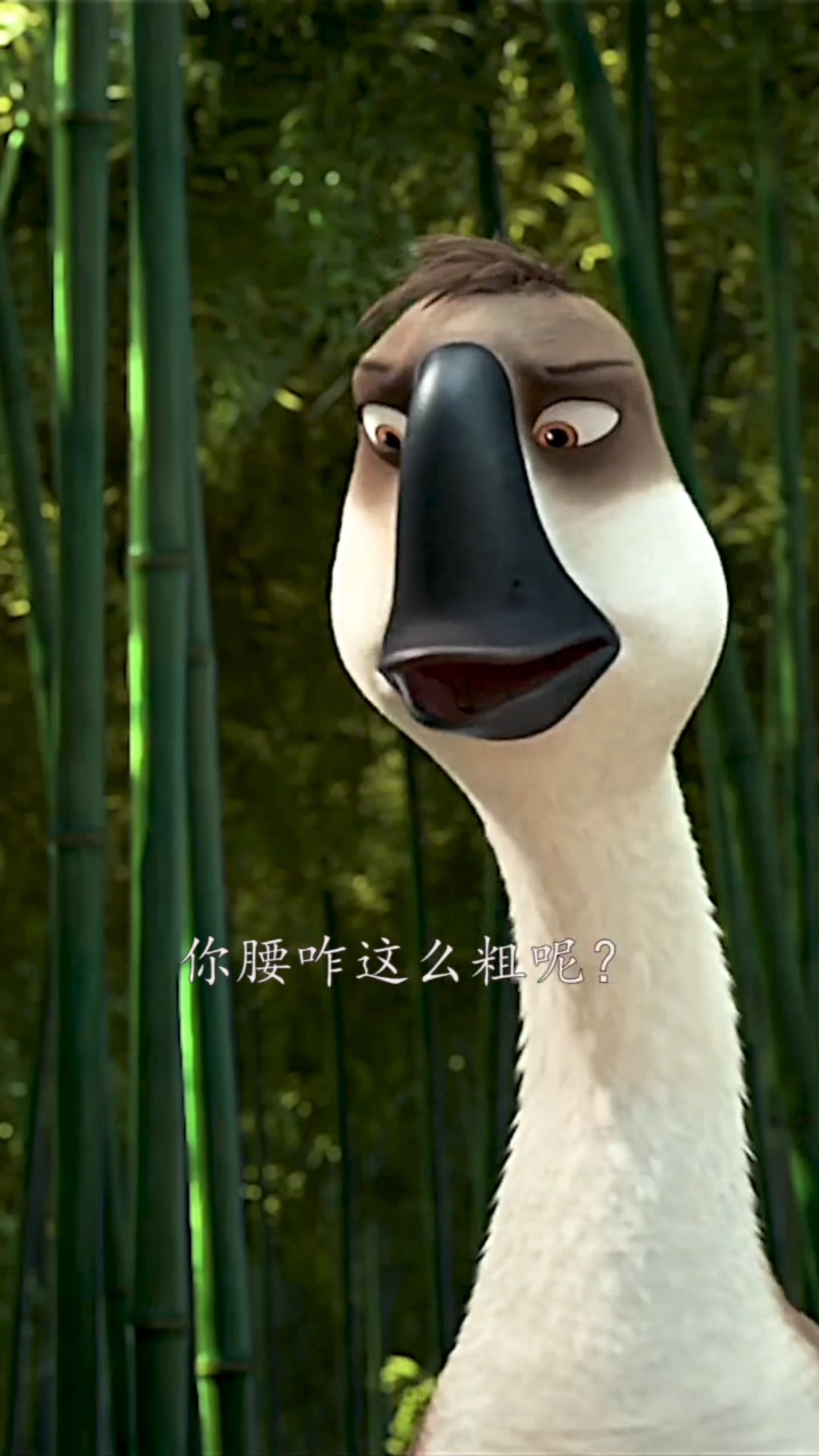 超萌小鸭,动漫搞笑视频
