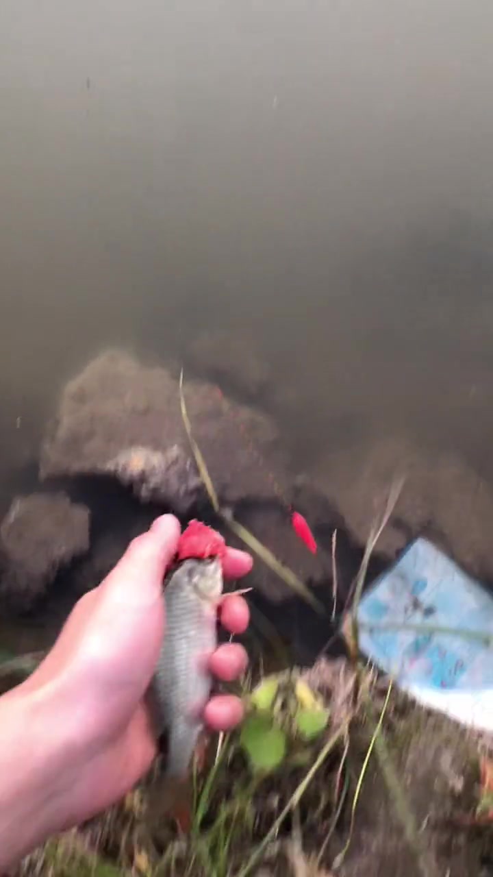 舍不得孩子套不住狼,男人用小鱼钓大鱼,别最后什么都没捞上