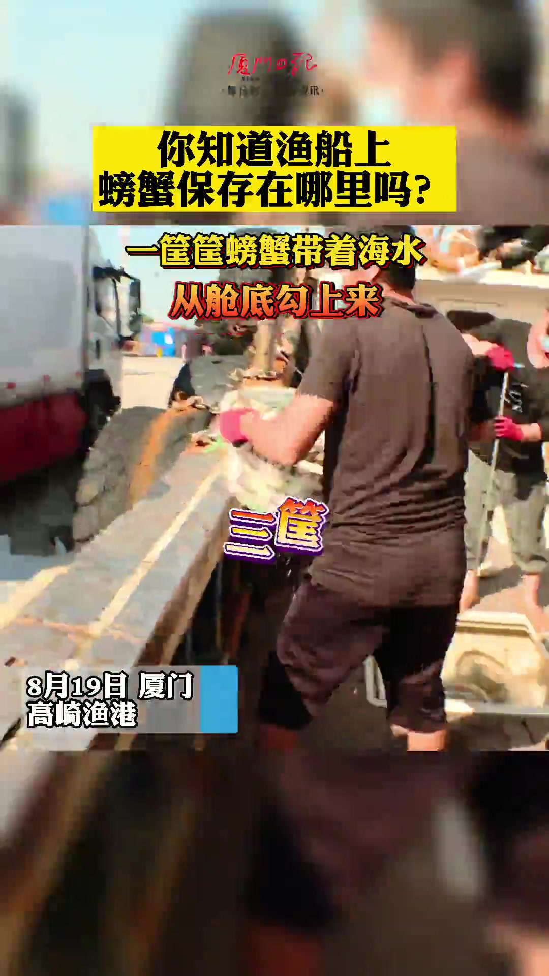 活蹦乱跳!开渔后第一批海鲜上岸啦!一年中价格最亲民的时候来了