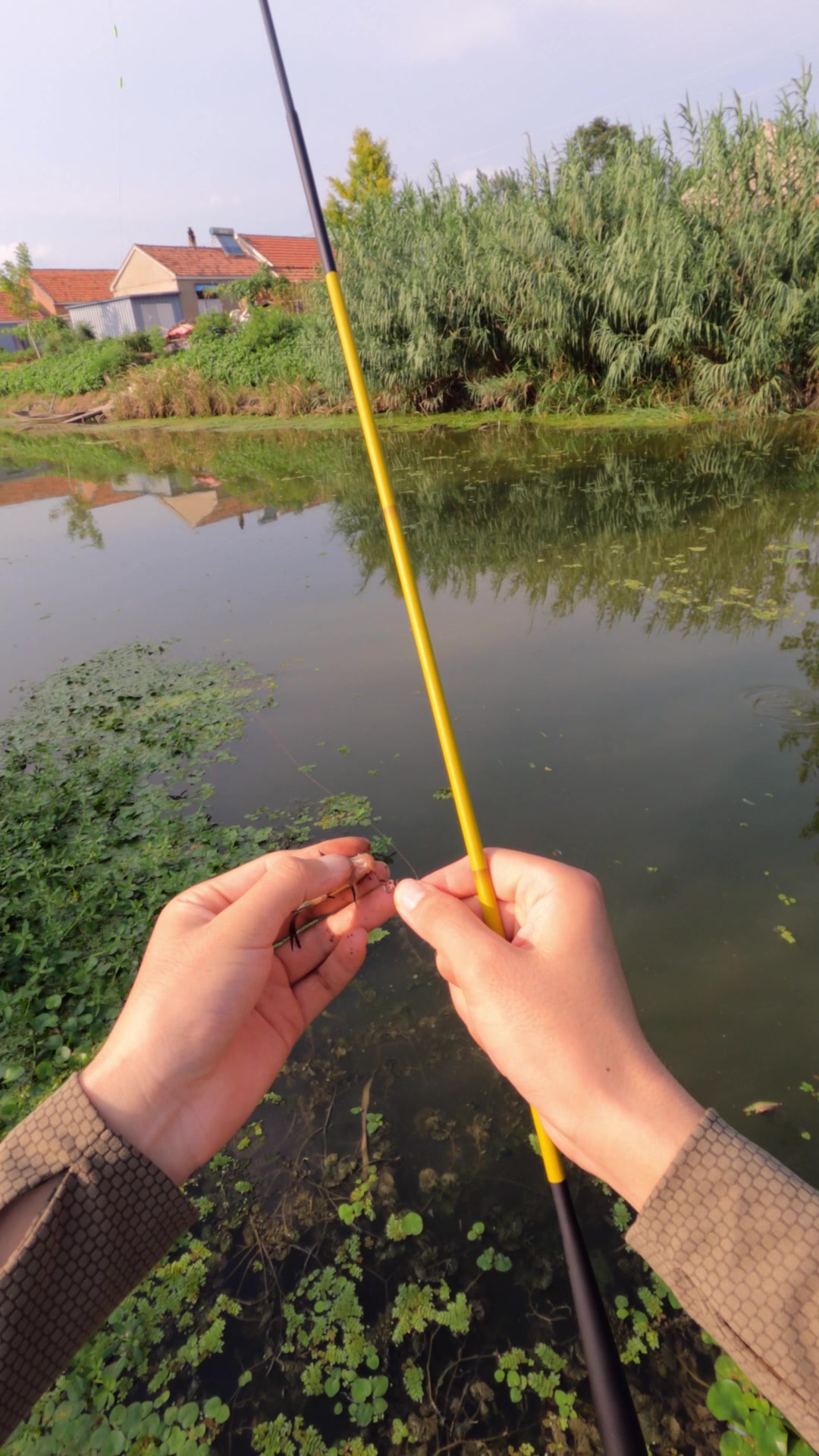 朋友介绍的小野河,下竿后鲫鱼抢着咬钩,这鱼情有些暴躁