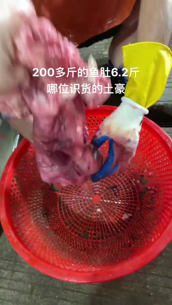 鱼身上最值钱的部位,居然能有200多斤,哪位土豪收入囊中