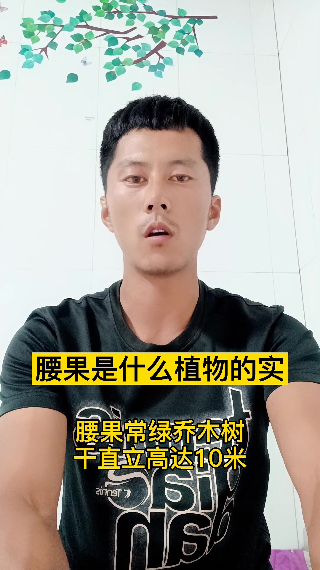 腰果是什么植物的果实