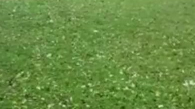 【美国北卡罗莱纳州女子房屋和汽车被洪水冲走 哭着拍视频】美国北卡罗莱纳州海伍德县8月17日