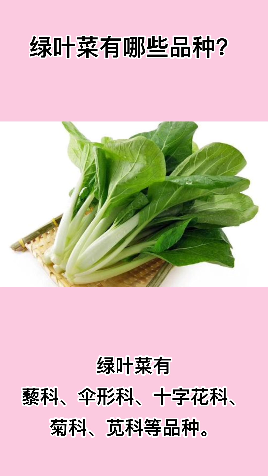 绿叶菜有哪些品种。