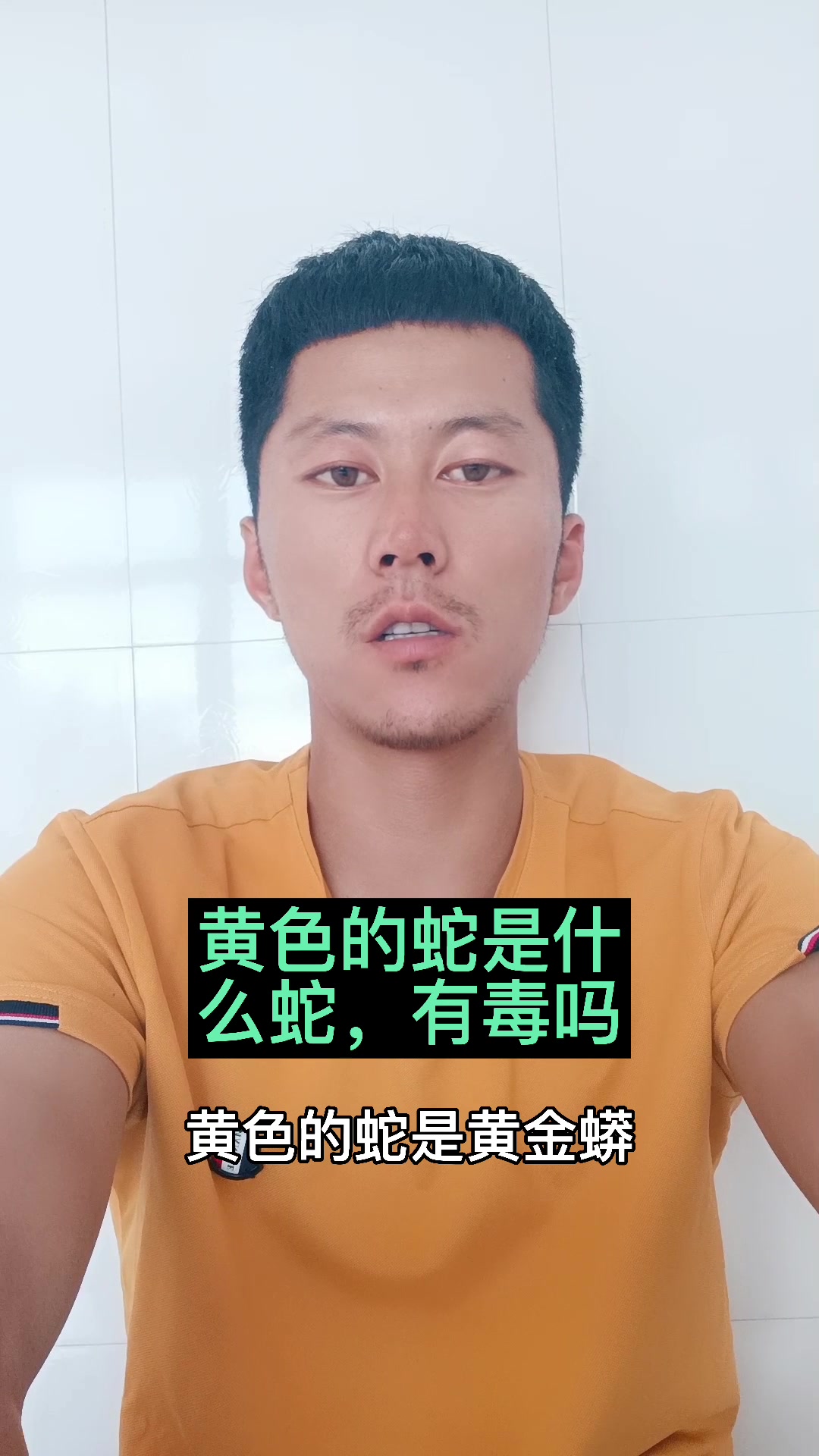 黄色的蛇是什么蛇,有毒吗