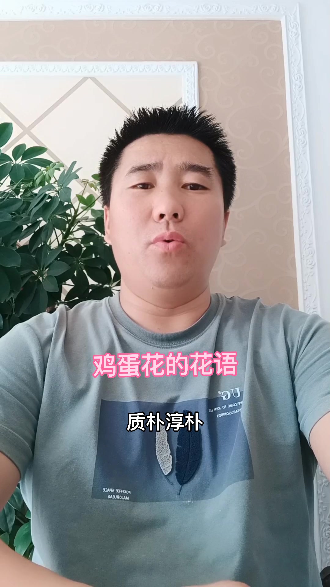 鸡蛋花的花语,你知道吗?