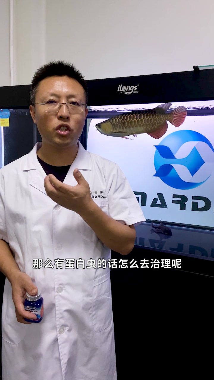鱼缸里面的蛋白虫是怎么产生的?