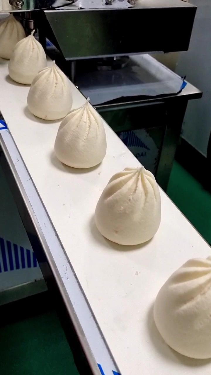 小小的机器,大大的能量,自动包包子设备,现场试机做的100克包