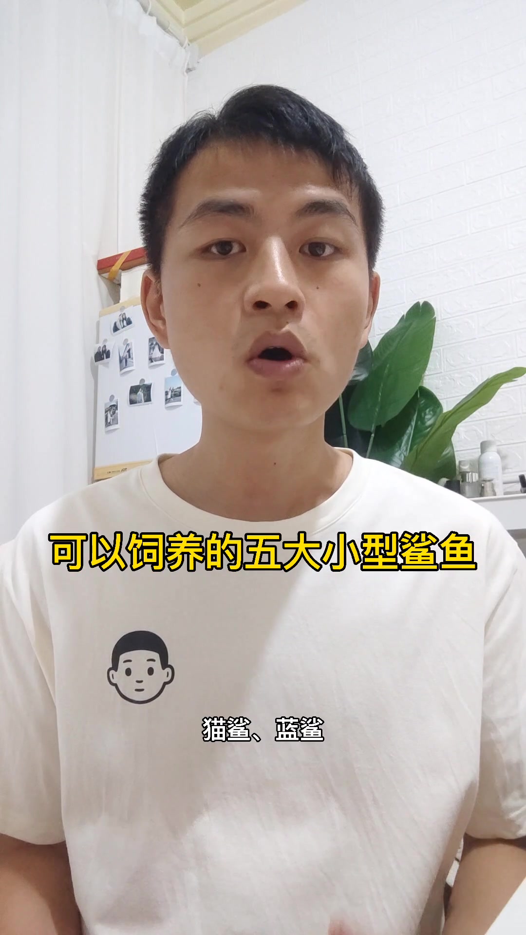 可以饲养的五大小型鲨鱼