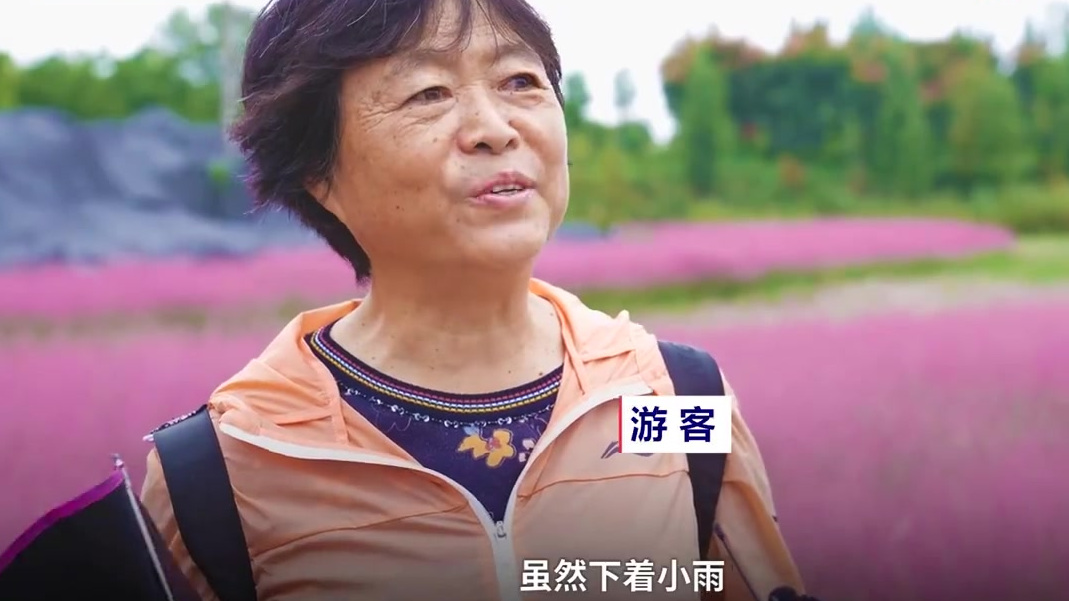 【粉色浪漫!粉黛乱子草自带云雾滤镜 】近日,四川凉山。西昌鹅掌河边的粉黛乱子草迎风盛开,吸