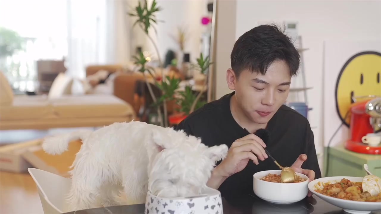#中午吃什么# 【油焖鸡】,土豆泥混合着番茄浓汤,拌着米饭好吃到“爆”
