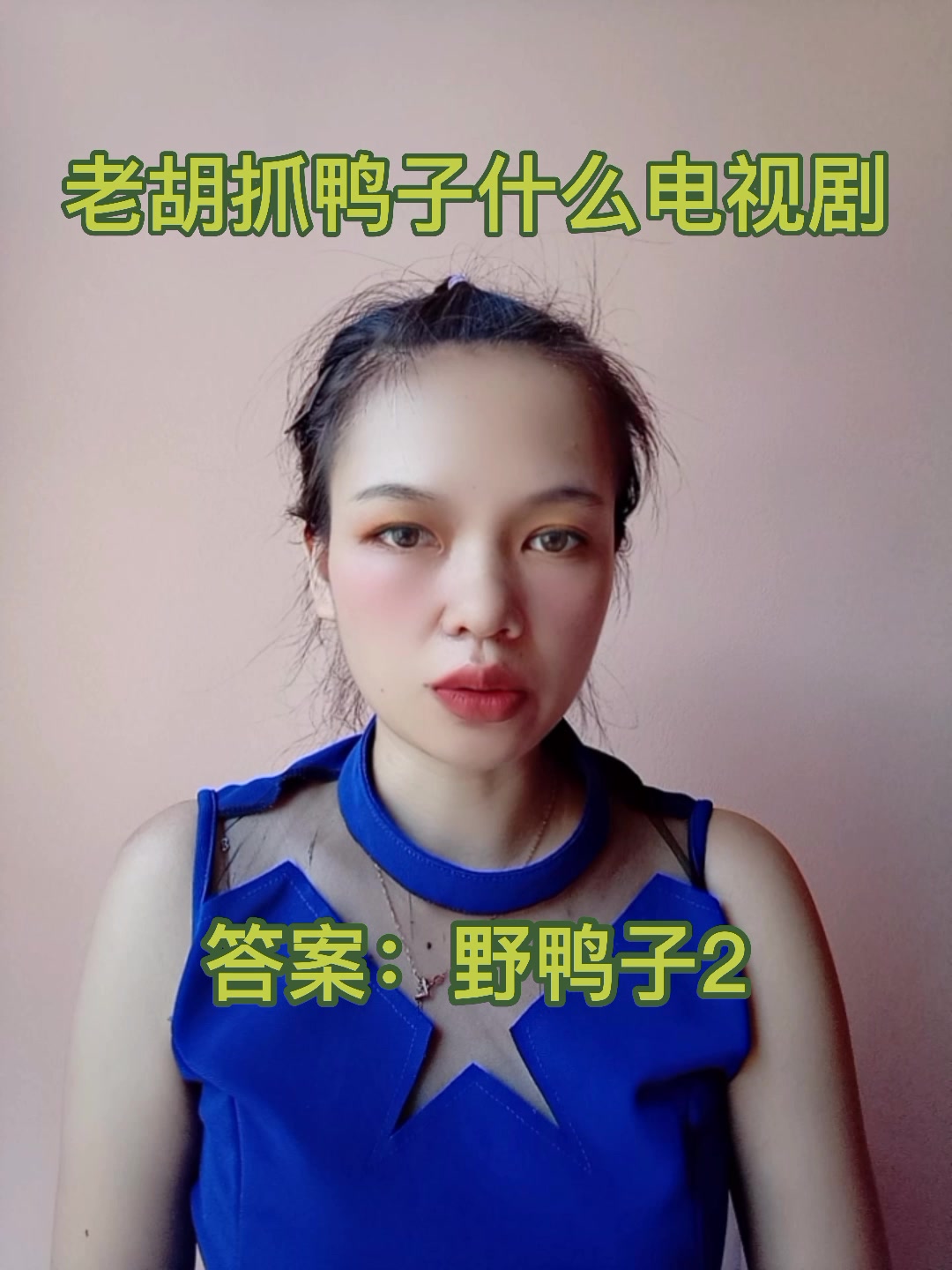老胡抓鸭子什么电视剧