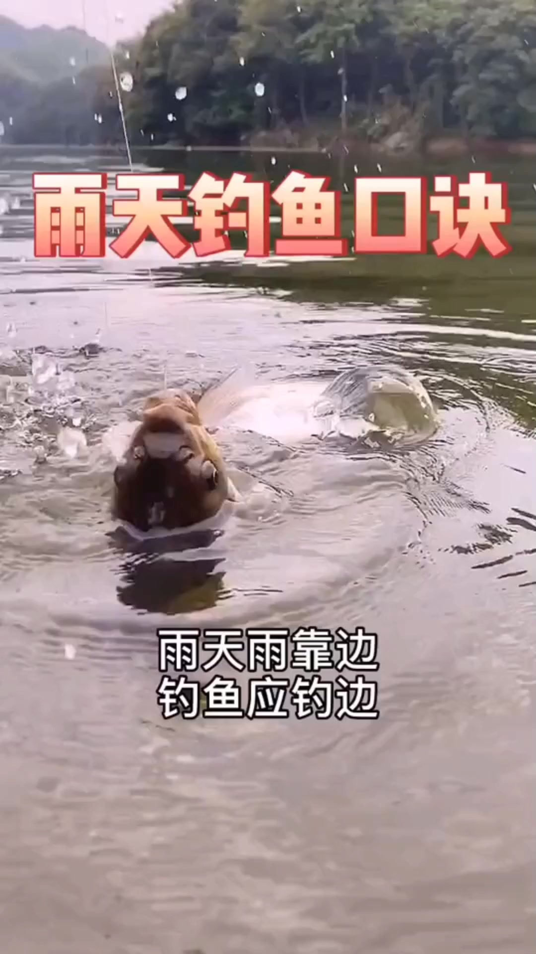 下雨天钓鱼技巧口诀
