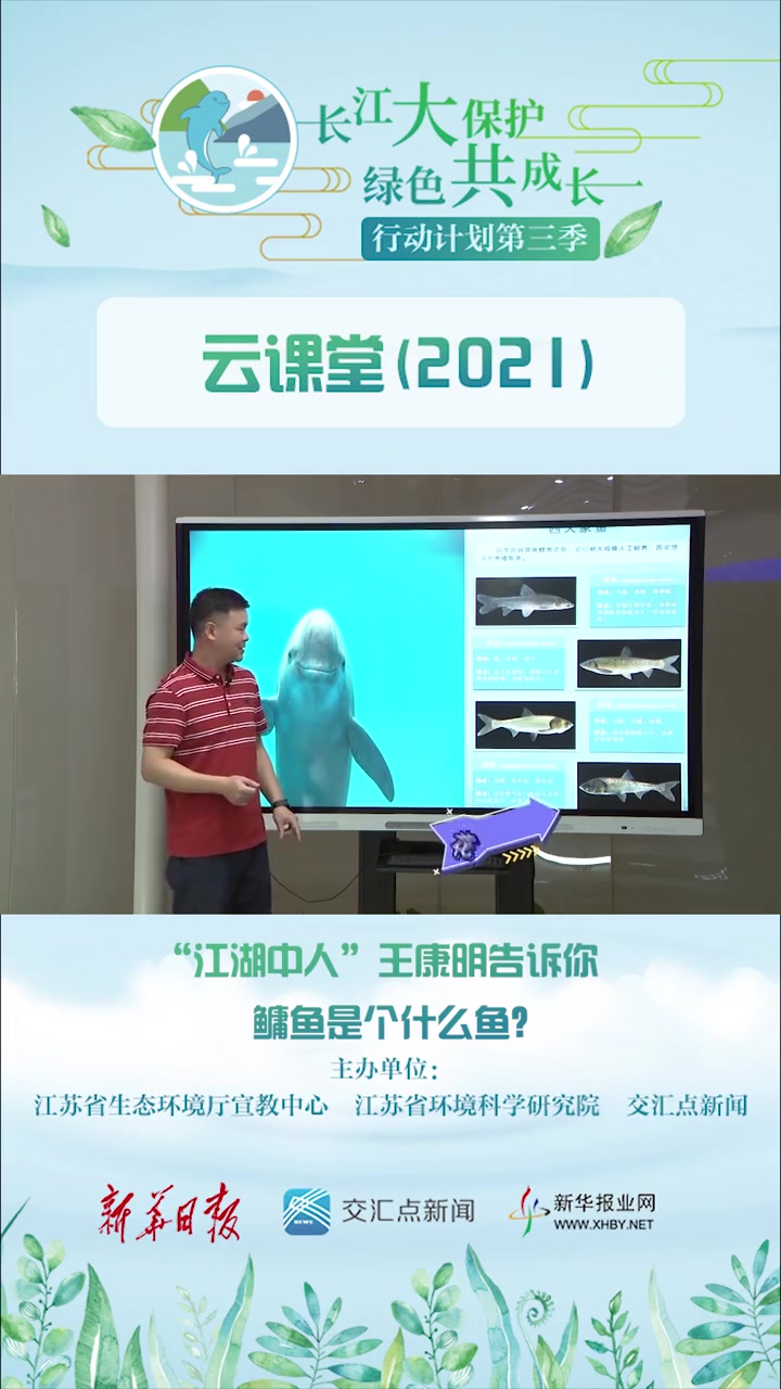 鲢鱼、鳙鱼傻傻分不清楚?“江湖中人”王康明告诉你鳙鱼到底是什么鱼 古韵新声话长江