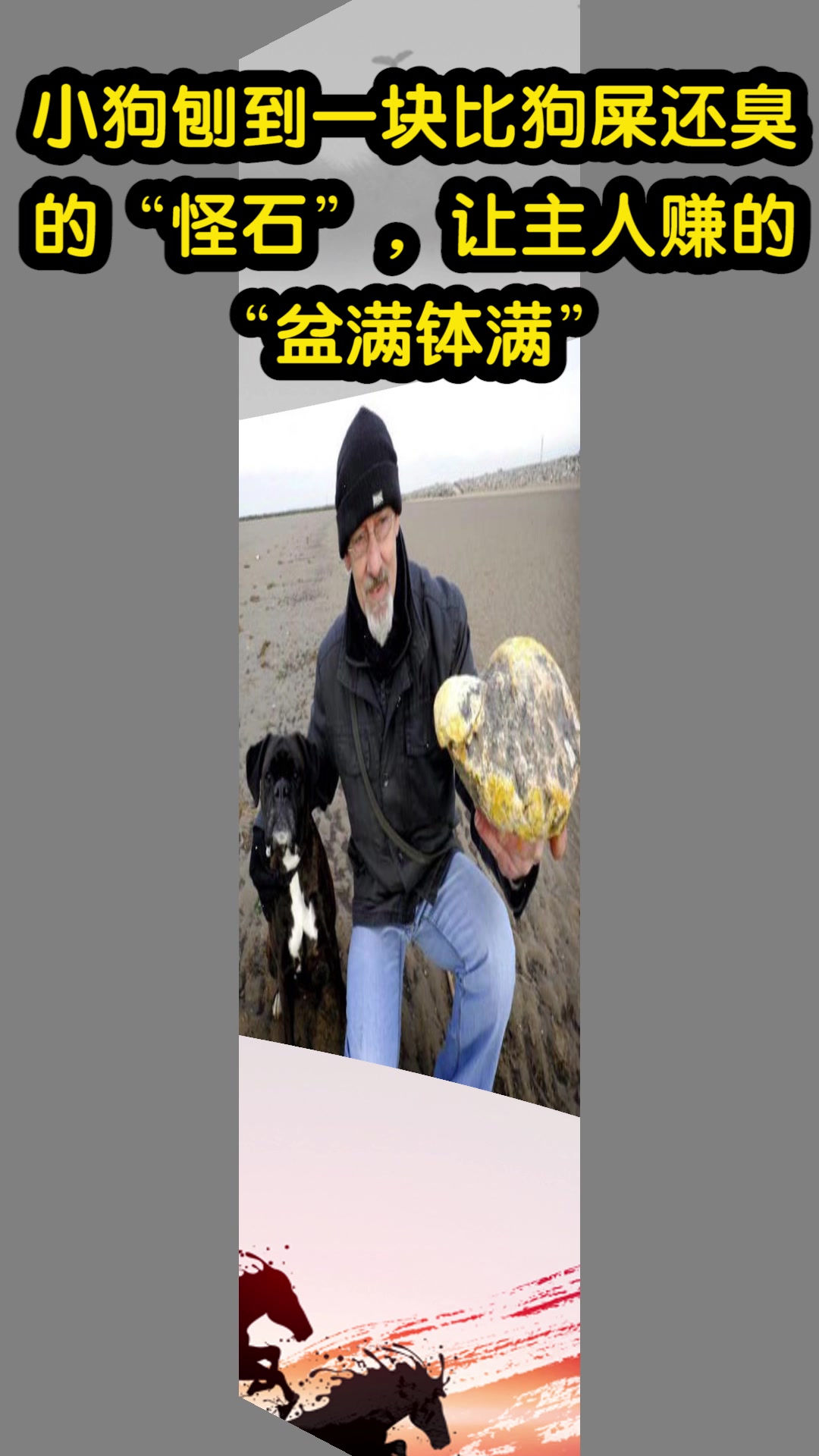 小狗刨到一块比狗屎还臭的“怪石”,让主人赚的“盆满钵满”