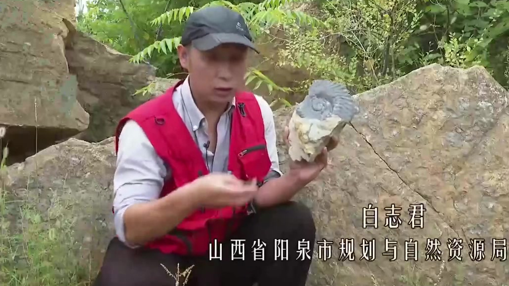 【中国首次发现2.9亿年前凶猛鲨鱼化石[围观]】记者从中科院古脊椎动物与古人类研究所获悉,