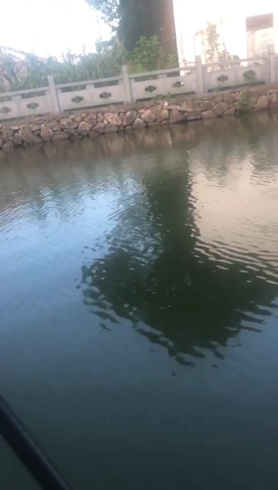 钓到红鲤鱼真的爽