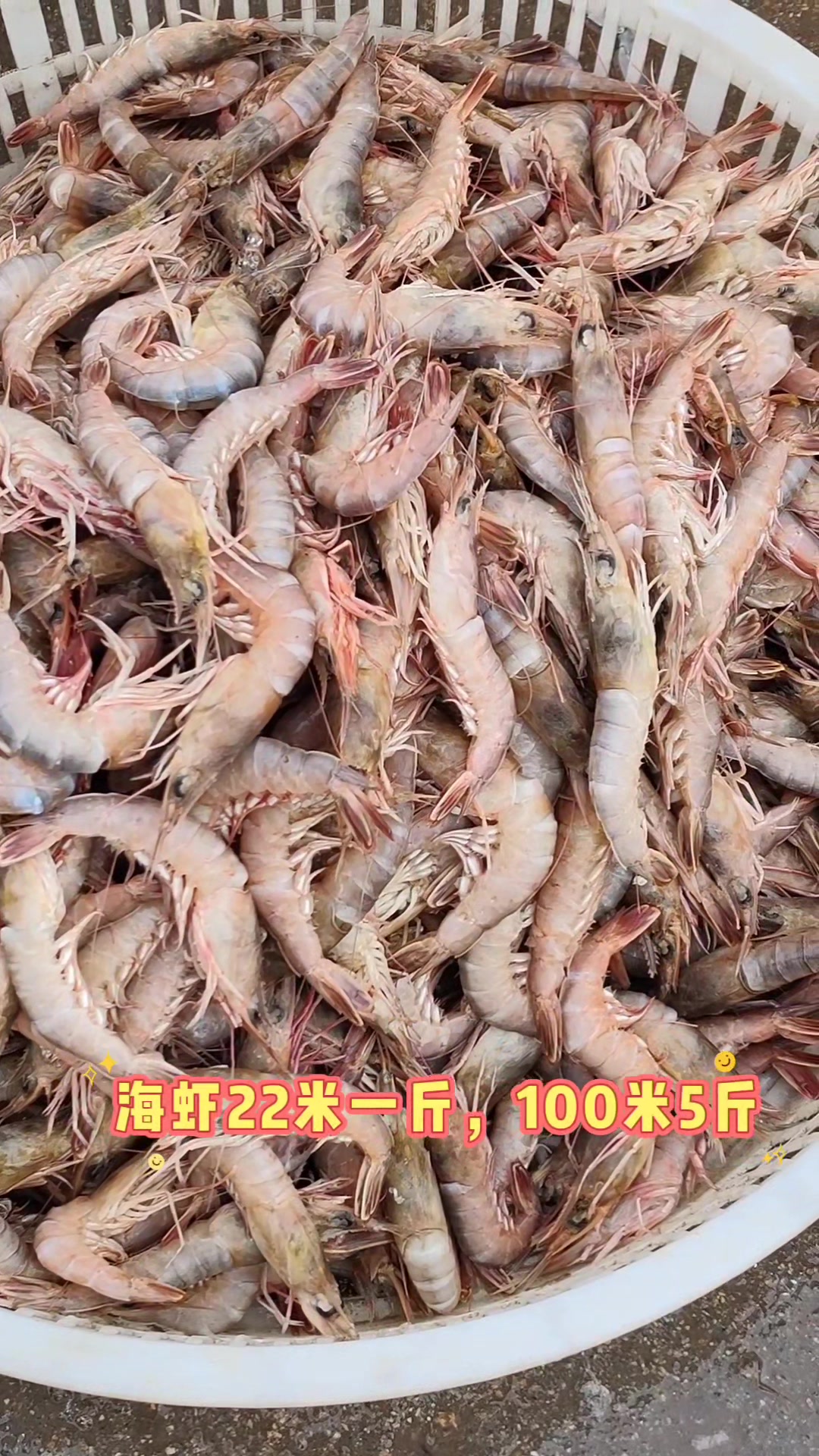 山东日照大泉沟渔港,看看码头都有哪些海鲜