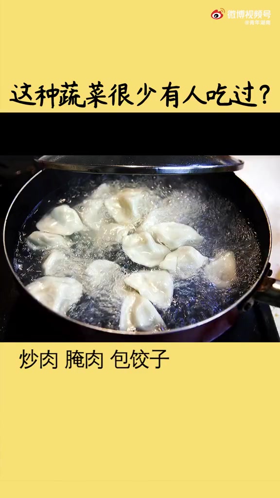 这种蔬菜很少有人吃过?你吃过沙葱#我的美好生活# 