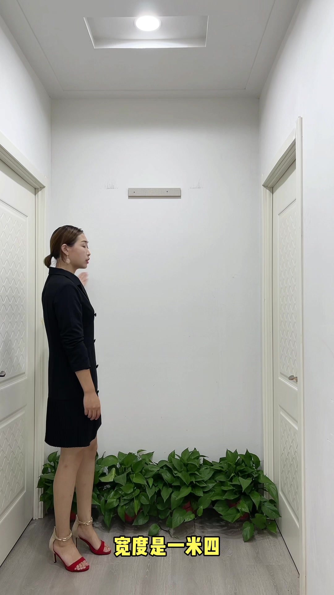 晶瓷晶钻入户门玄关装饰画