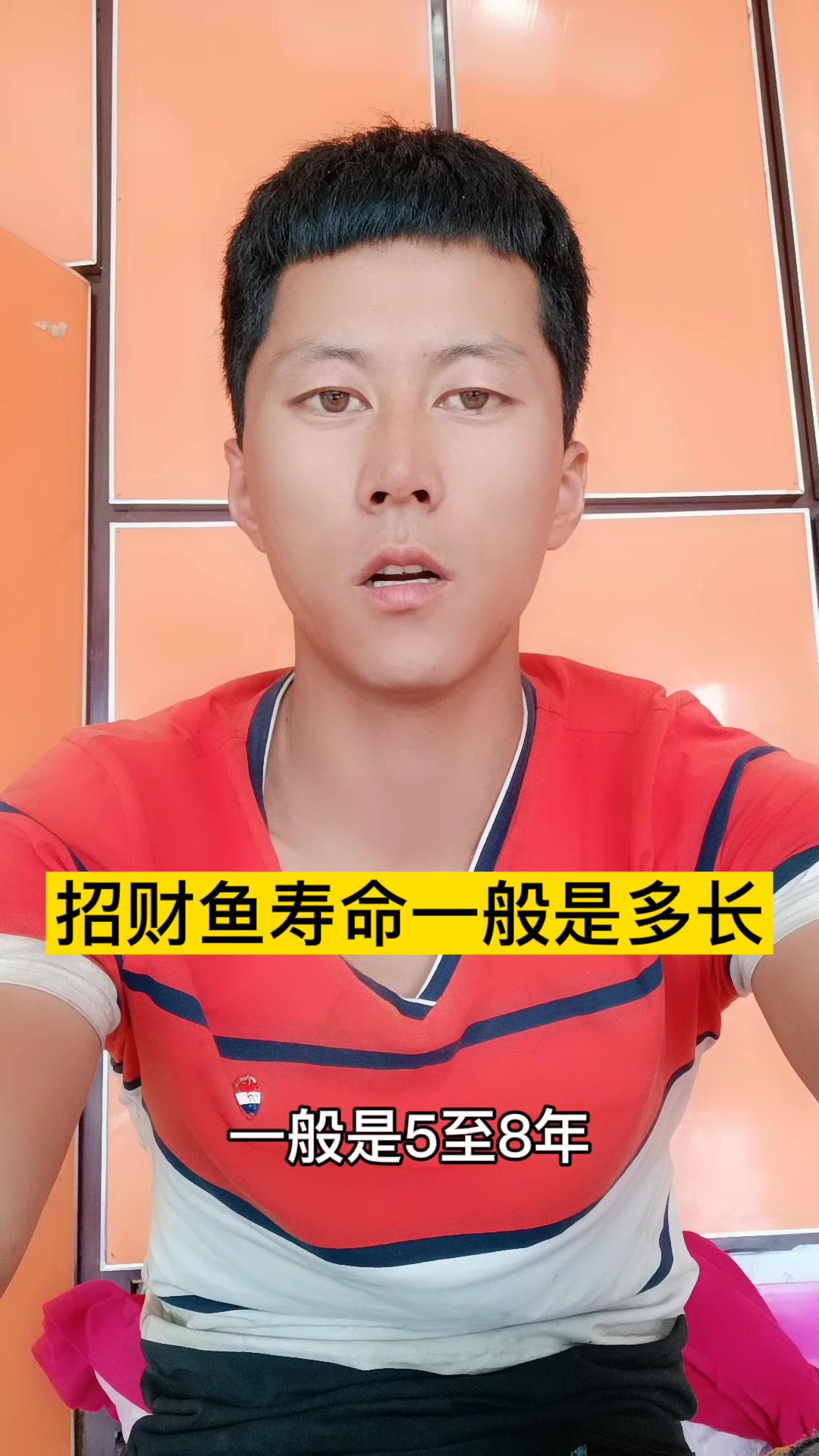 招财鱼寿命一般是多长?