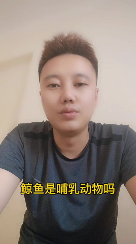 鲸鱼是哺乳动物吗  