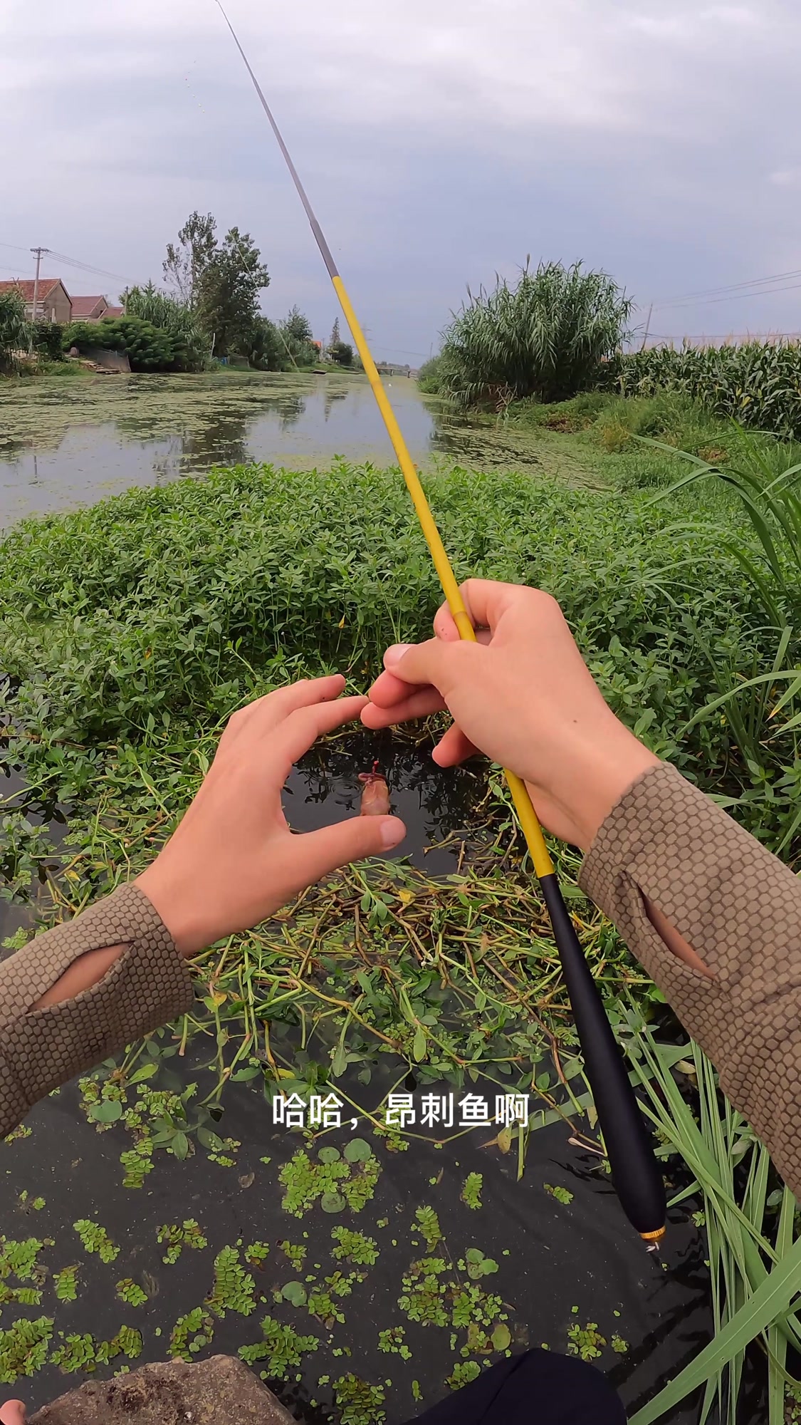 小伙爬上沉船钓鱼,竟意外捅了鱼窝,鲫鱼一条比一条大