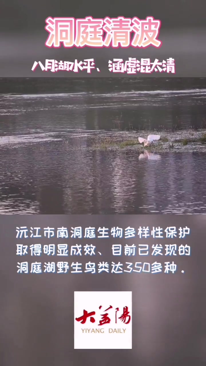 益阳 沅江市 南洞庭 生物多样性保护取得明显成效,目前已发现的洞庭湖野生鸟类达350多种