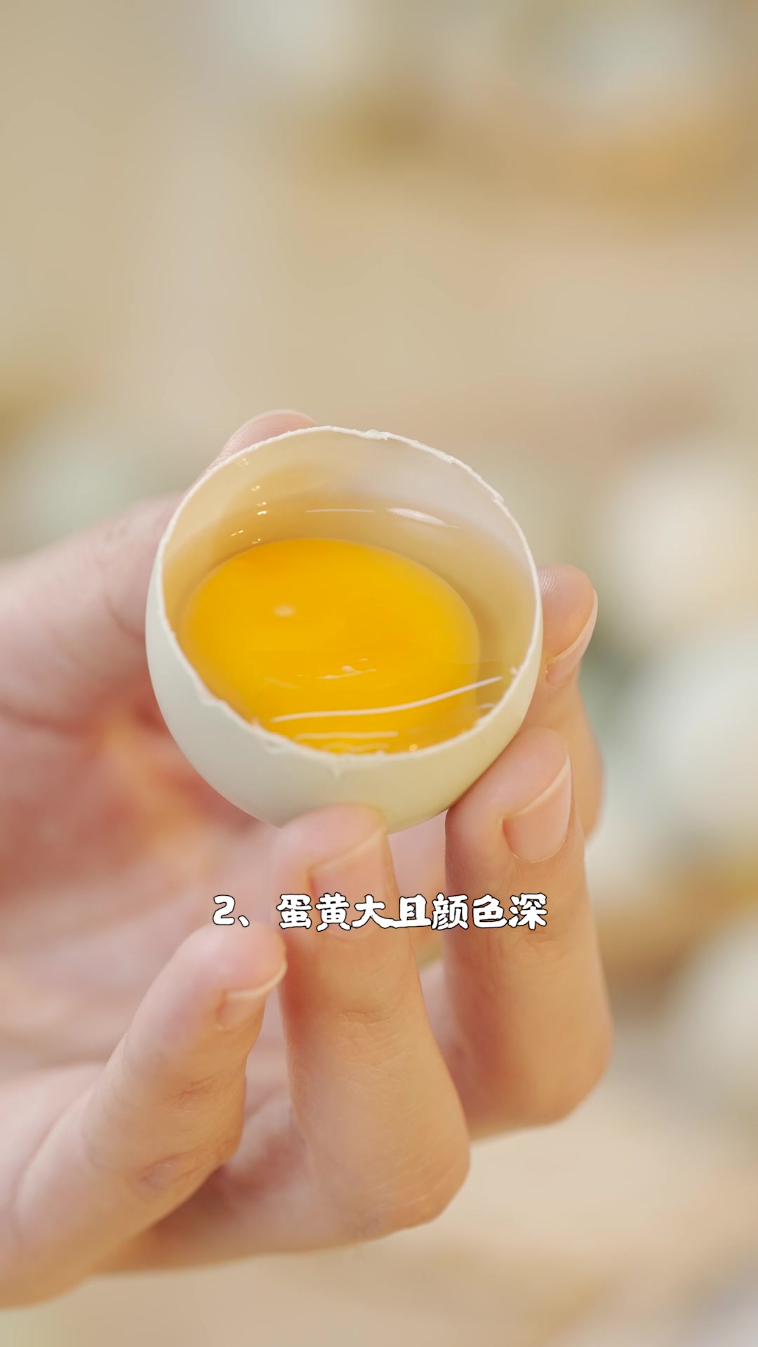 绿壳鸡蛋——“鸡蛋中的人参”