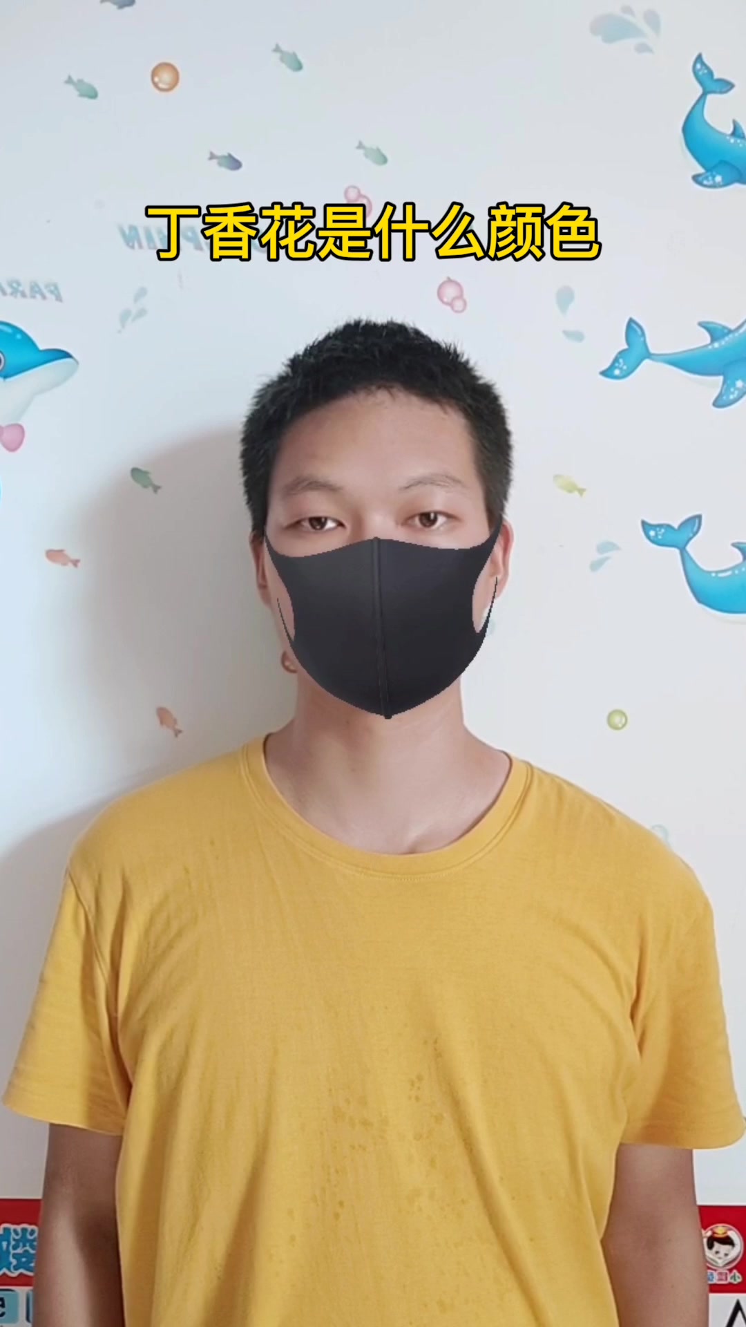 丁香花是什么颜色?