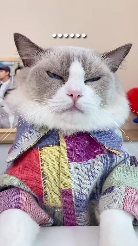 小泡芙猫咪01集