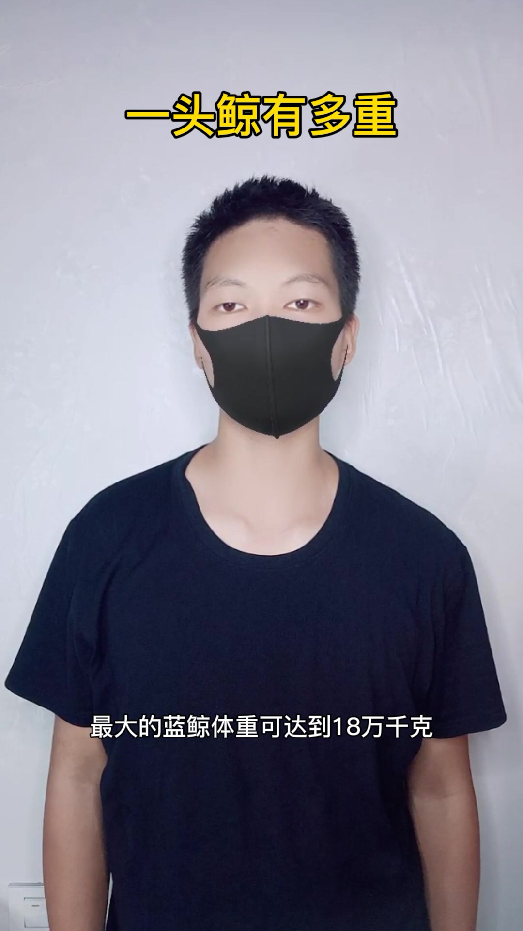 1头鲸有多重,我来告诉你。