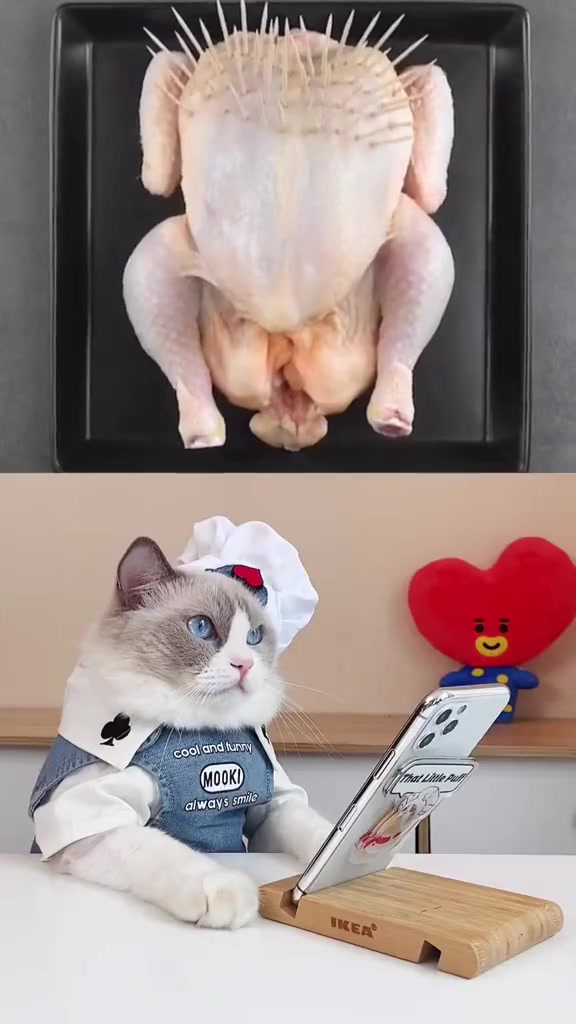 小泡芙猫咪002集的