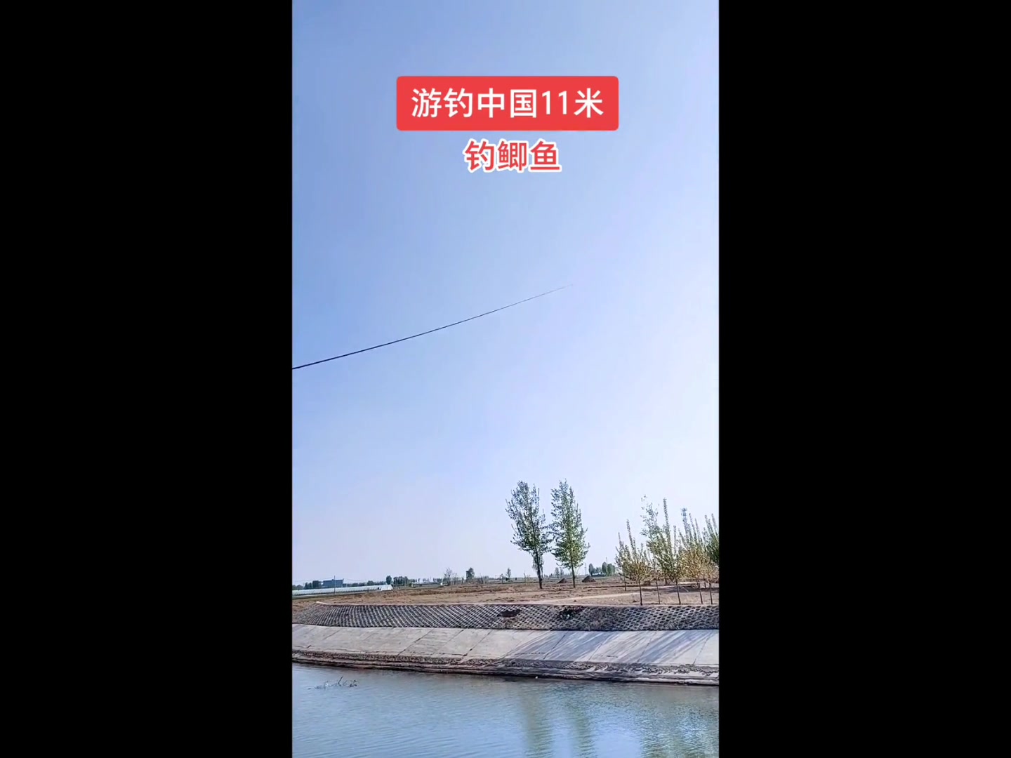 传统钓大炮鱼竿钓鲫鱼鲤鱼