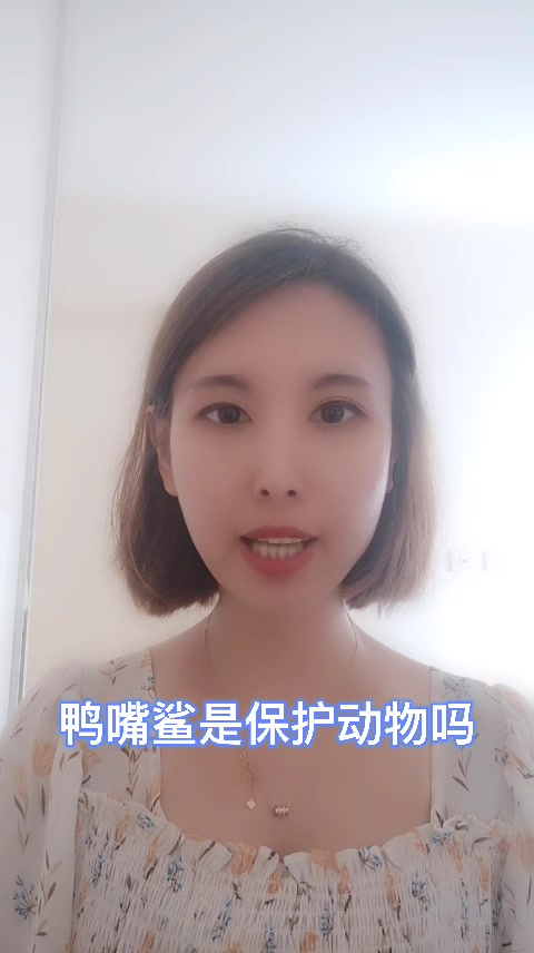 鸭嘴鲨是保护动物吗