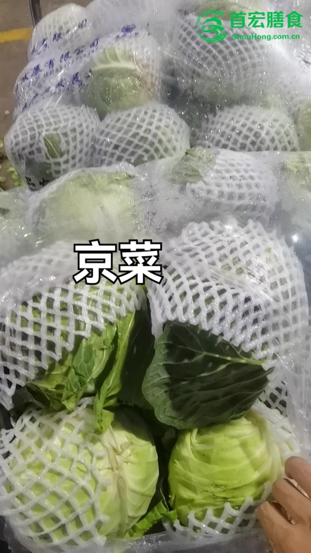 东莞蔬菜配送,常用蔬菜品类中的京包!