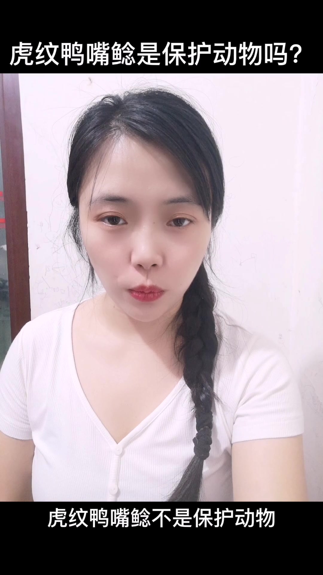 虎纹鸭嘴鲶是保护动物吗?