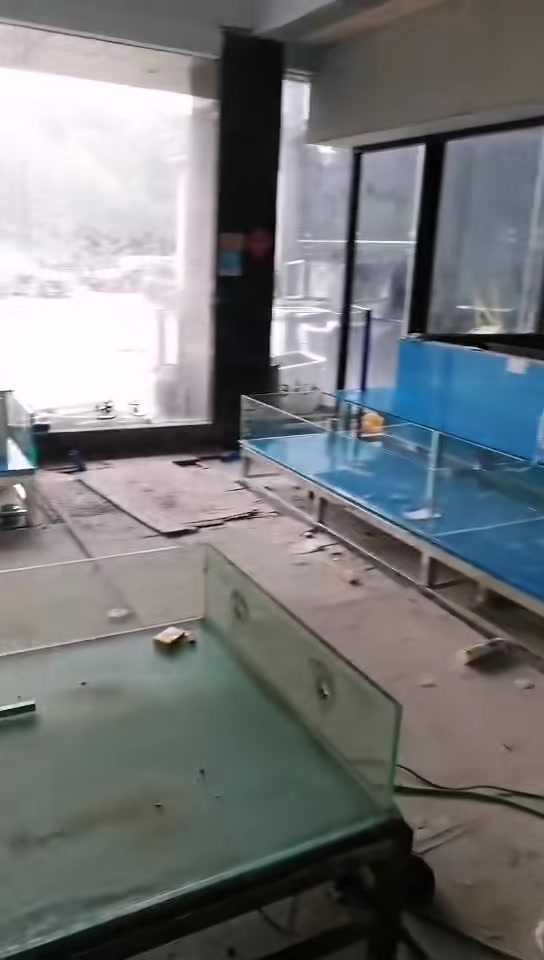 玻璃鱼池现场制作,海鲜超市玻璃鱼池,海鲜饭店定做玻璃海鲜池