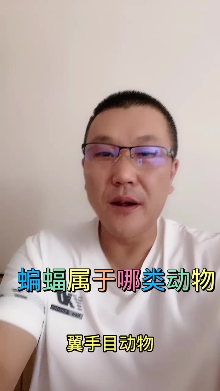 蝙蝠属于哪类动物