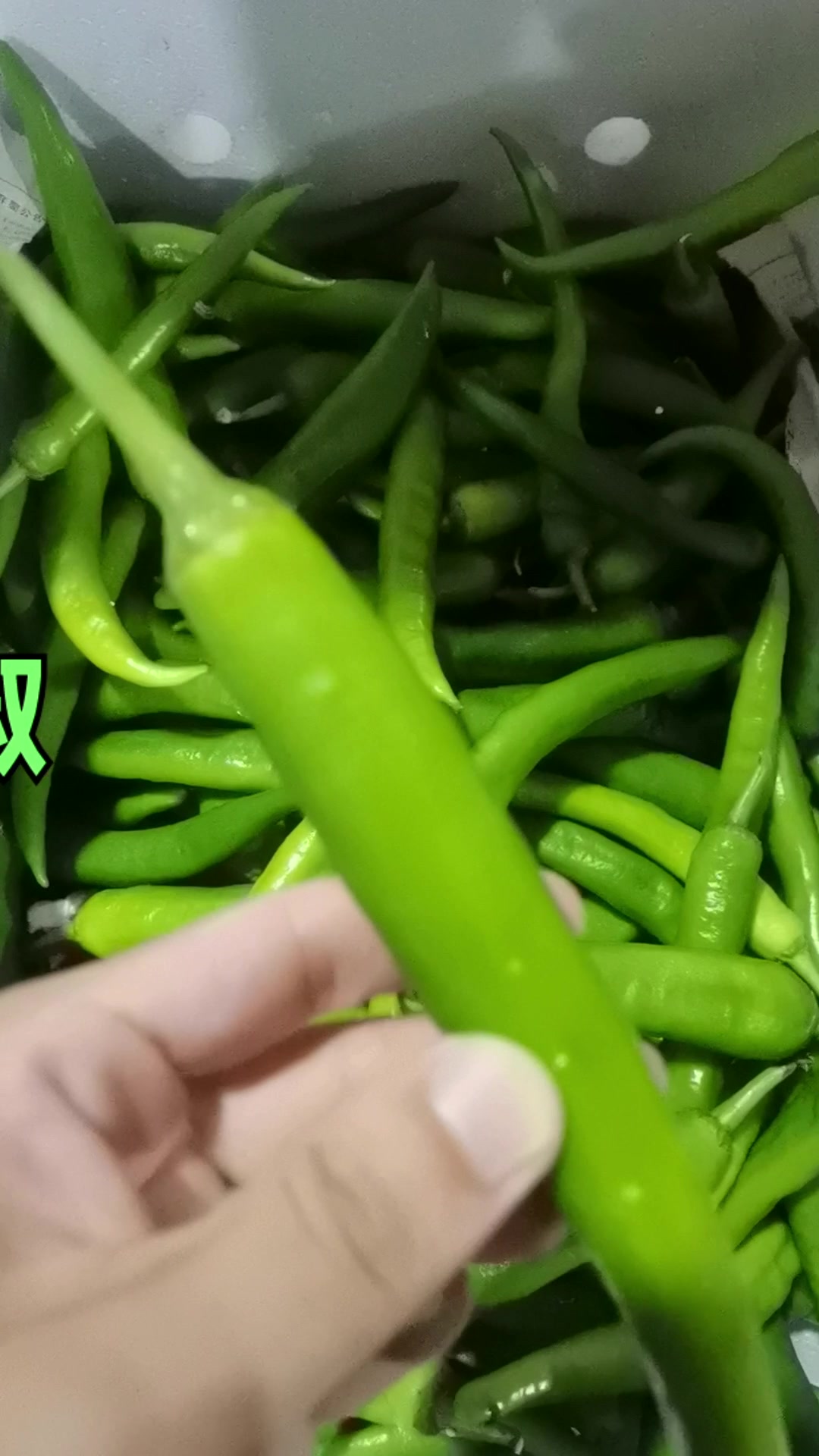 东莞配送蔬菜,常用配送品类中的青椒