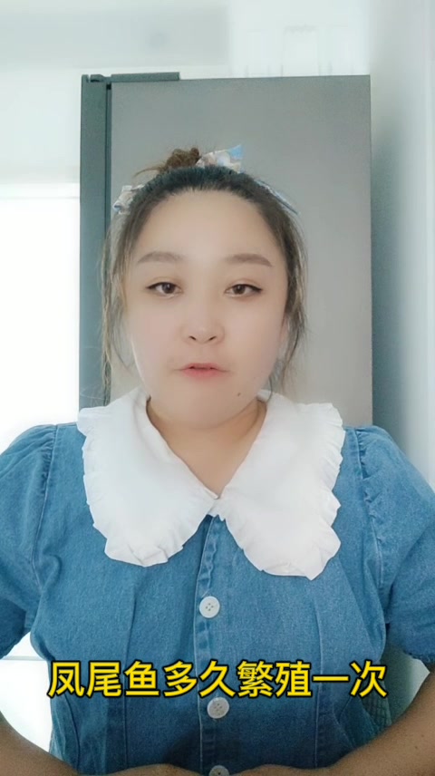 凤尾鱼多久繁殖一次