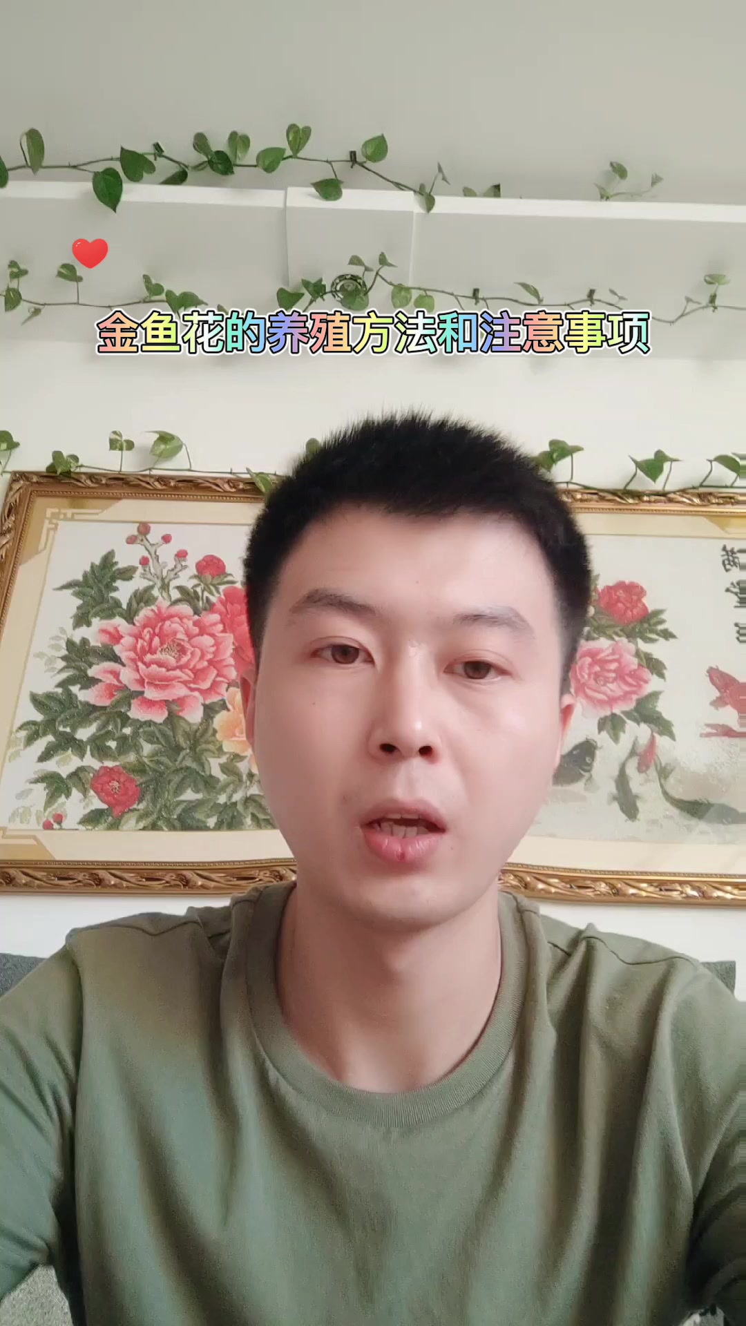 金鱼花的养殖方法和注意事项