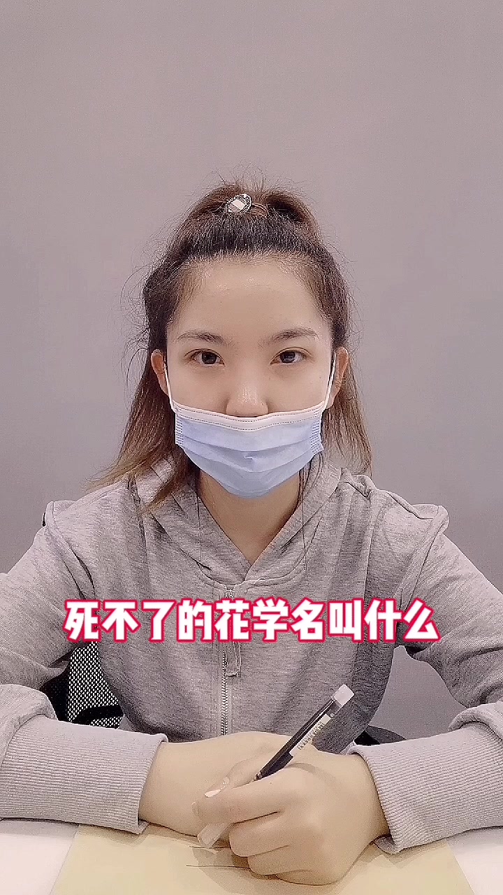 死不了的花学名叫什么?