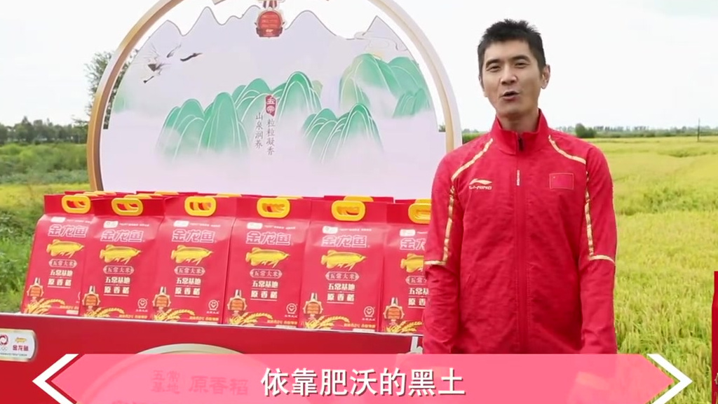 稻花香里说丰年有幸受金龙鱼的邀请,走进丰收时节的国家生态示范区,世界三大黑土地之一的金龙鱼
