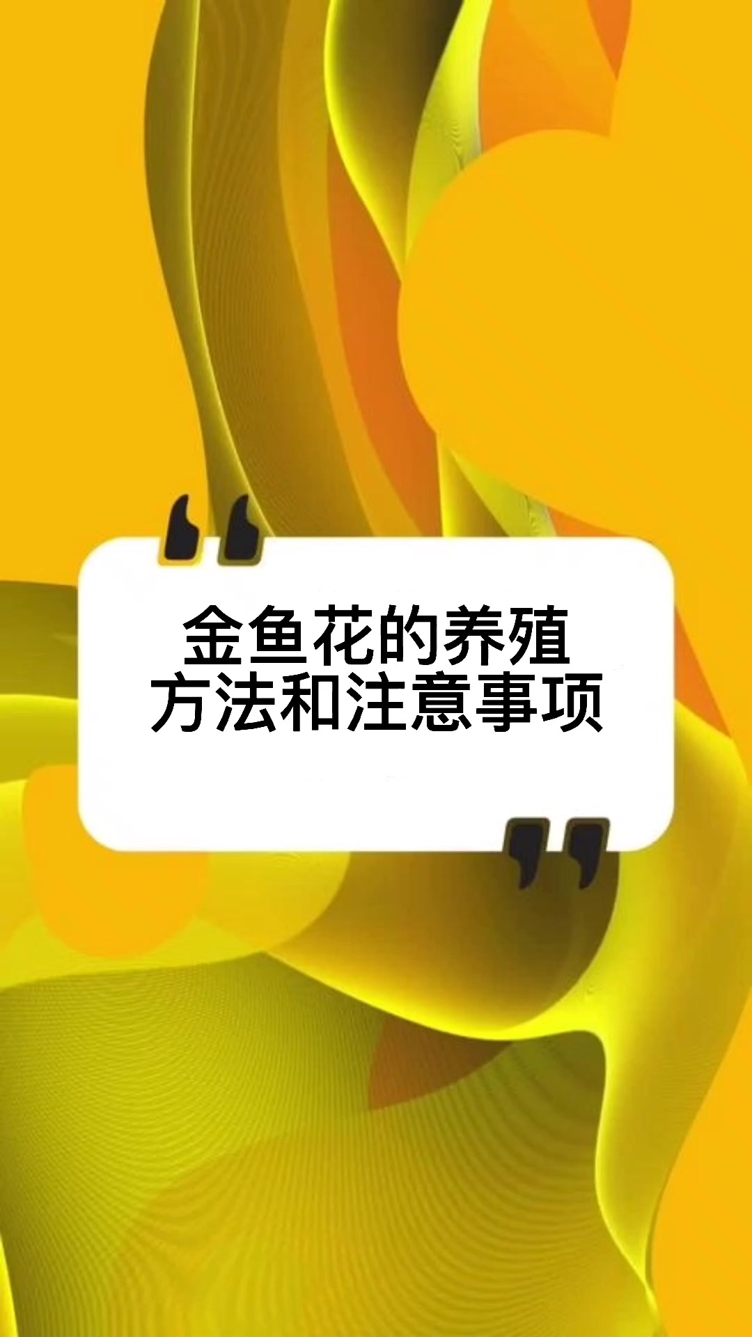 金鱼花的养殖方法和注意事项