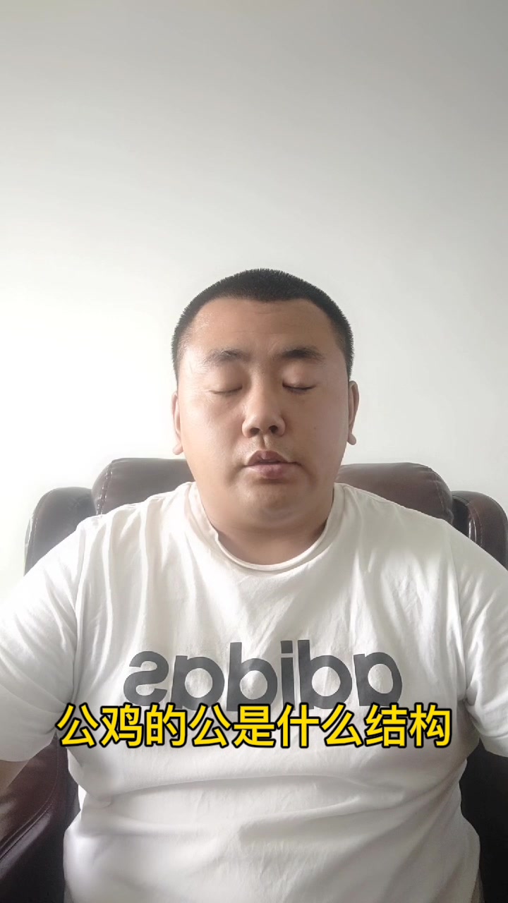 公鸡的公是什么结构