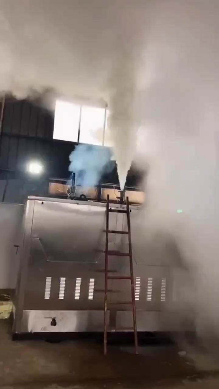 一吨位燃气锅炉燃气蒸汽发生器出厂调试