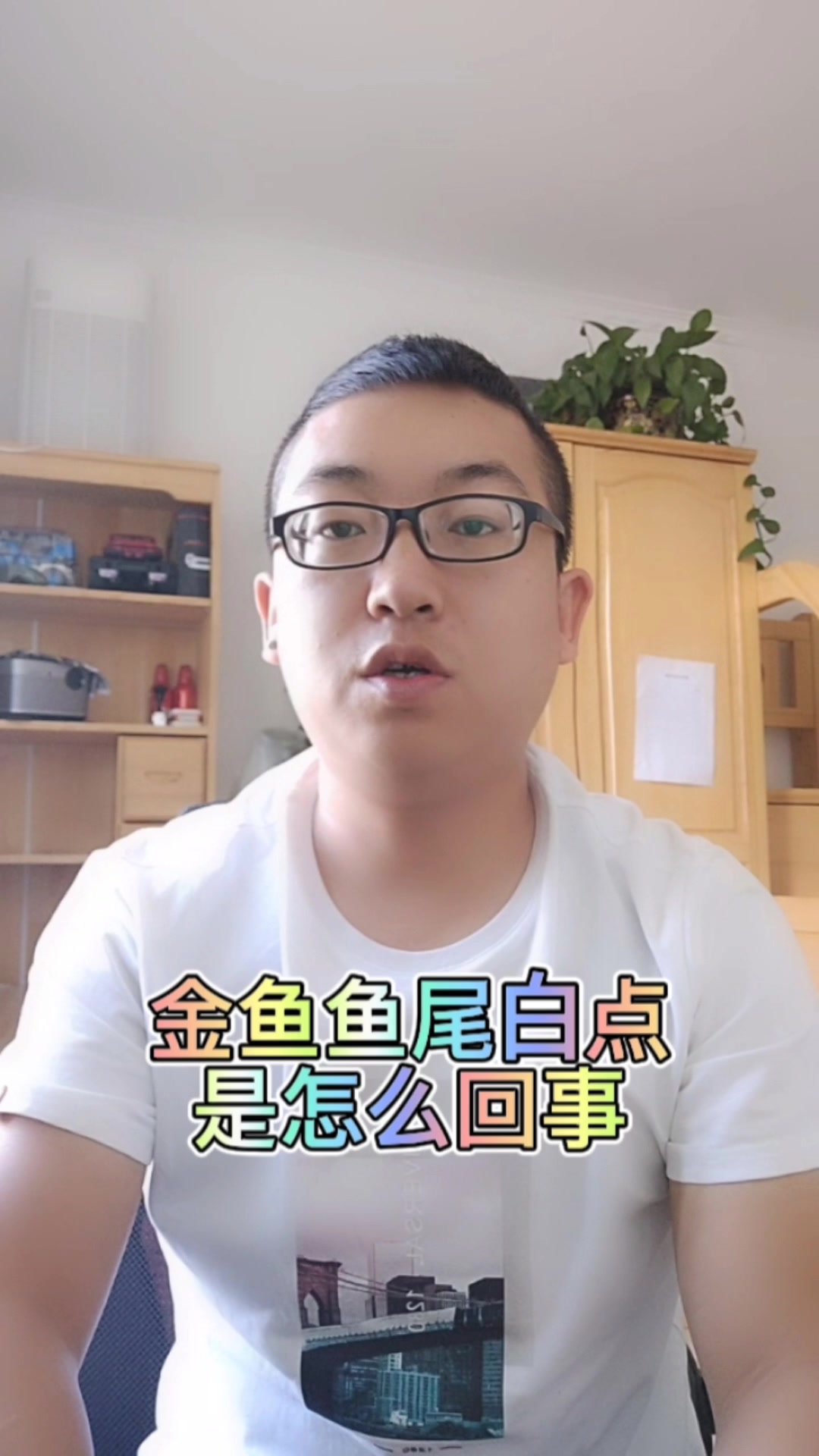 金鱼鱼尾白点是怎么回事