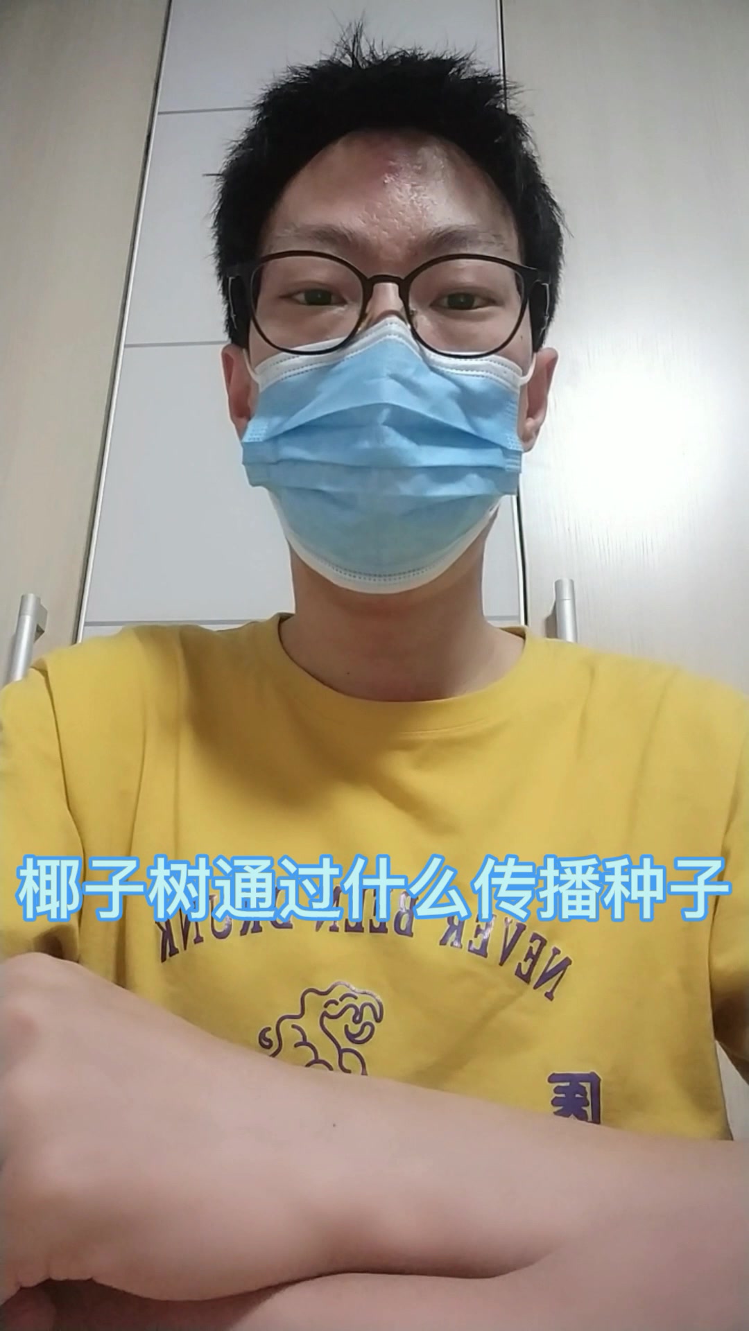 椰子树通过什么传播种子